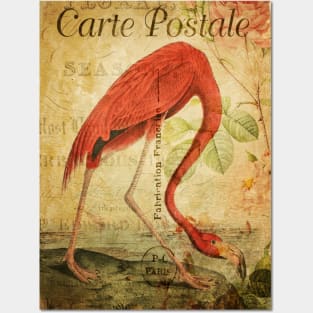 The Flamingo - Vintage French Postcard Posters and Art